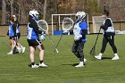 WLAX scrimmage  Women’s Lacrosse inter squad scrimmage. : WLax, Lacrosse, inter squad scrimmage